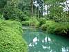 Blue Lagoon, Vang Vieng